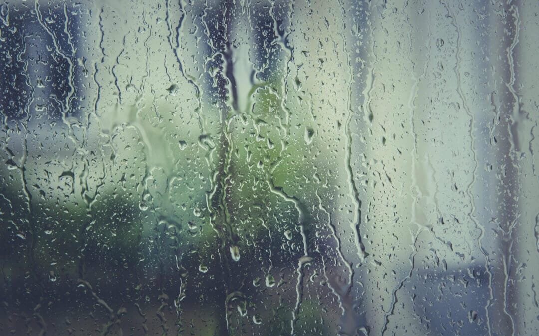 How do HVAC systems contribute to mold growth?